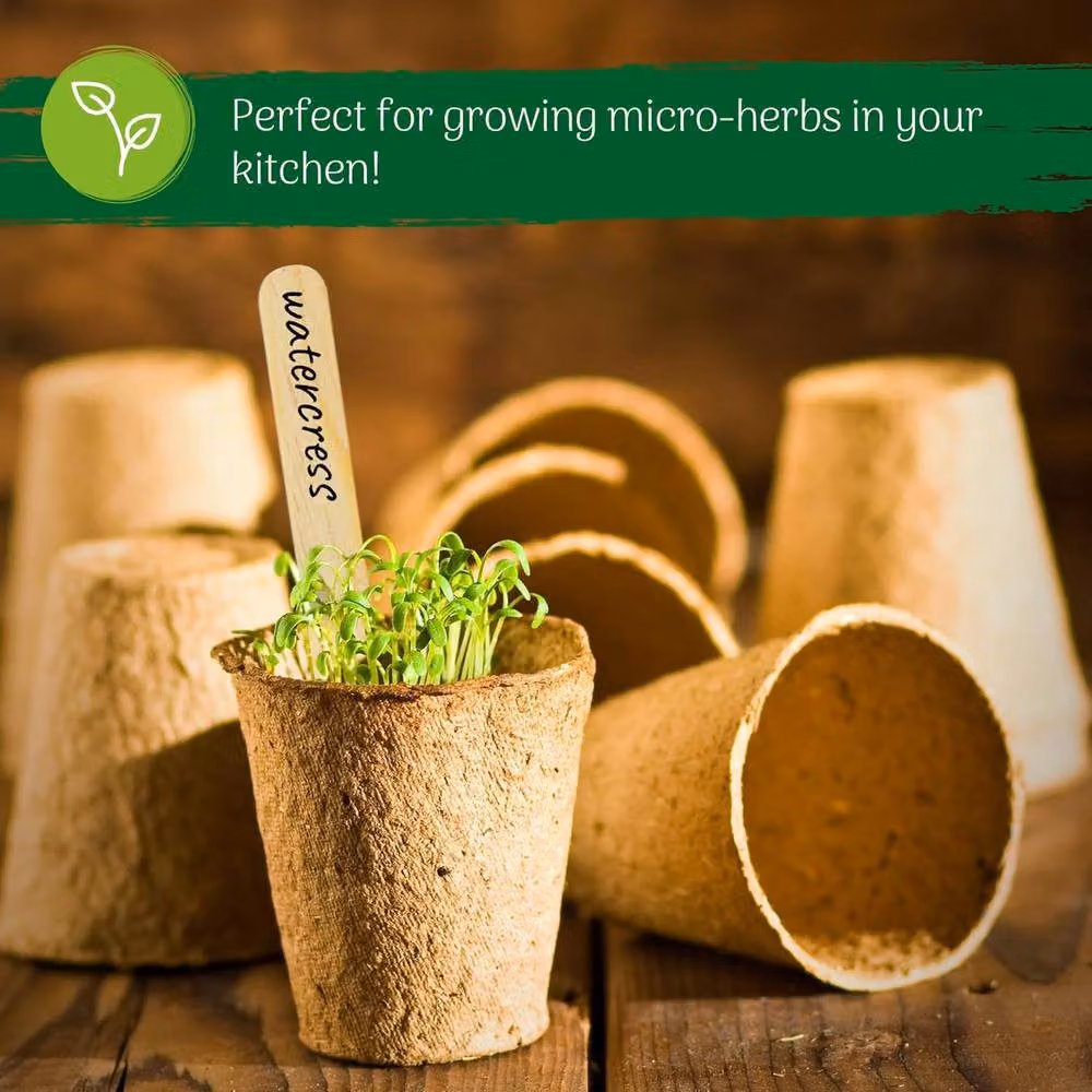 Green Thumbz 100 Pack Biodegradable Seedling Pots for Herbs and Flowers, Brown, 8cm – 5