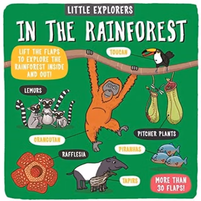 Dynamo Ltd. Little Explorers: In the Rainforest Multicolour Board Book