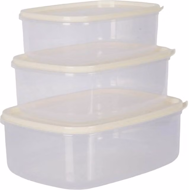 KORVIXA 3-Piece Rectangle Food Storage Container Set in Transparent Plastic