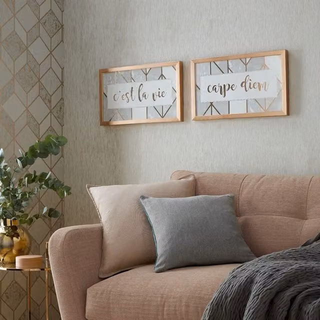 Art for the Home C'est La Vie and Carpe Diem Set of 2 Framed Typography Prints in Rose Gold, Pink and Gold