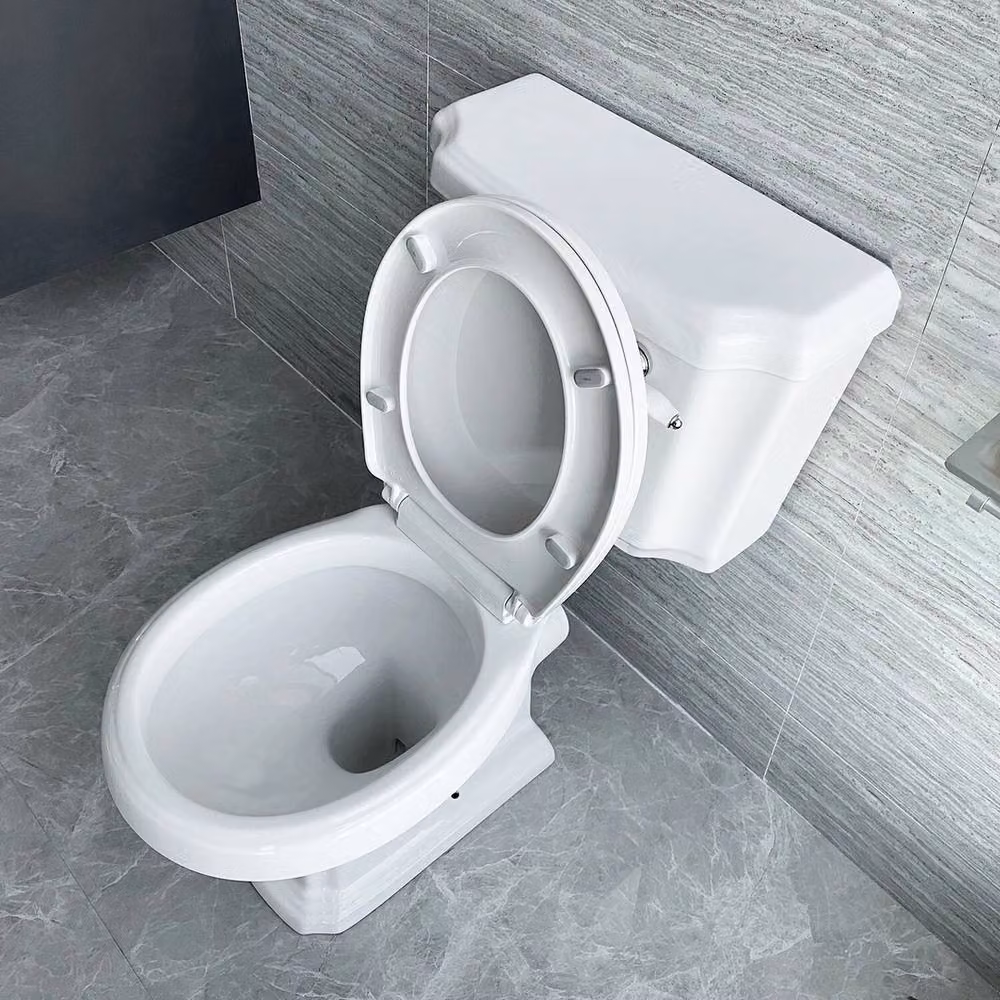 FLAVORA Traditional Style Close Coupled Ceramic Bathroom Toilet in White W/D/H: 100 x 52 x 52 cm – 3
