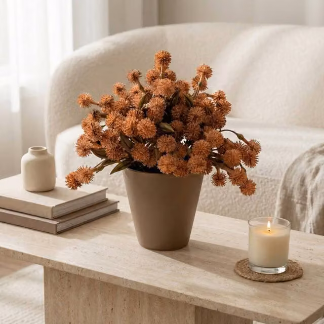 Madison & Mayfair Potted Allium Plant in Orange, Yellow and Green