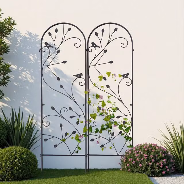 Komore Freestanding Metal Garden Screen and Climbing Frame in Black, H 180 x W 200 x D 2 cm