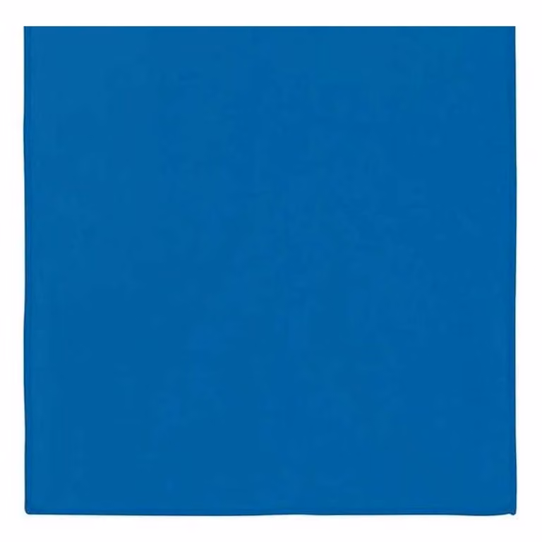 Proact Quick-Drying Microfibre Sports Towel in Blue