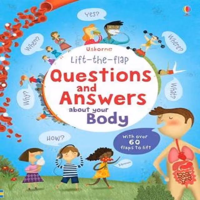 Katie Daynes Lift-the-flap Questions and Answers about your Body Board Book, Multicolour