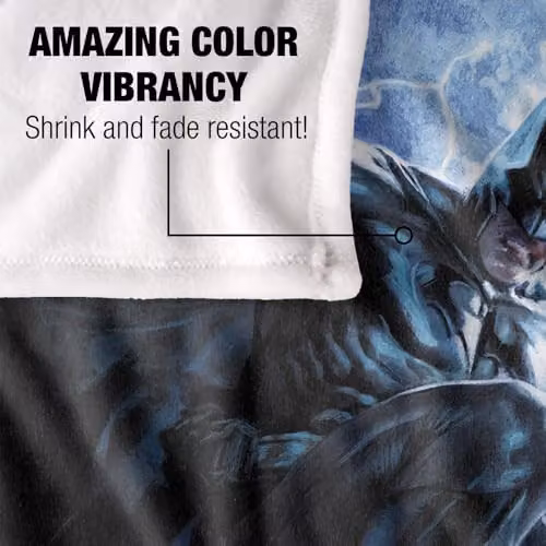 Warner Bros. Batman Leaping Down Super Soft Silky Touch Fleece Throw Blanket, Multicolour, W: 91.44 cm x L: 147 cm – 3