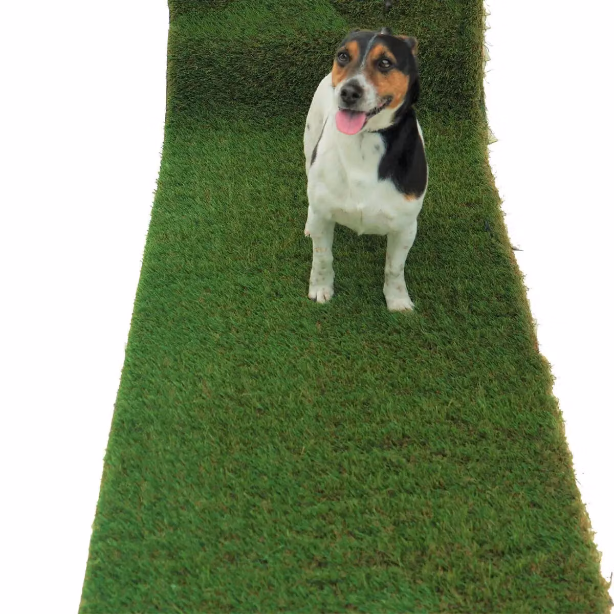 Artificial Grass GB Natural Look 40mm Artificial Grass in Green, W: 200 cm, D: 700 cm – 3