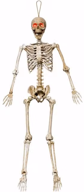 Samuel Alexander 5ft White Halloween Skeleton with Poseable Joints and Red LEDs – 2