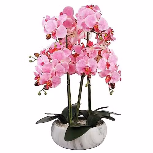 Botanik Pink Marble Effect Ceramic Orchid Planter, H 60 cm x W 40 cm x D 40 cm