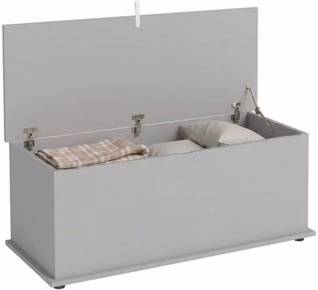 NESTLUNE Grey Storage Chest with Lid, 113L Capacity, W/D/H: 120.0 x 40.0 x 100.0 cm – 1