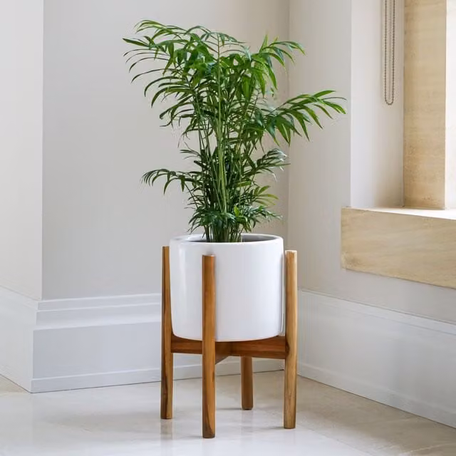 Ivyline Anzio Stone White Ceramic Planter with Wooden Stand, H38.5 x D24 cm – 1