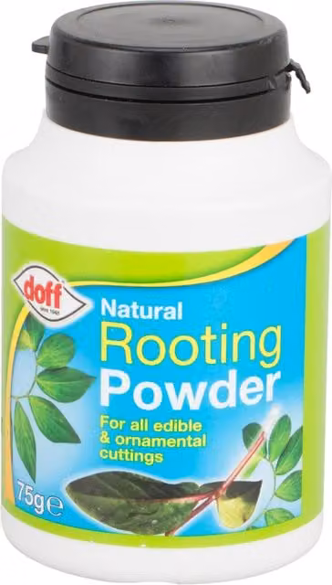 Doff Natural Rooting Powder