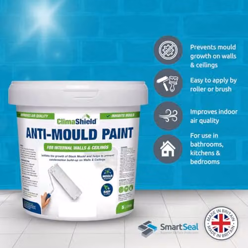 ClimaShield Anti Mould Paint in Berry Sorbet Pink, 2.5L, Water Based Mould Resistant Paint for Walls and Ceilings – 2