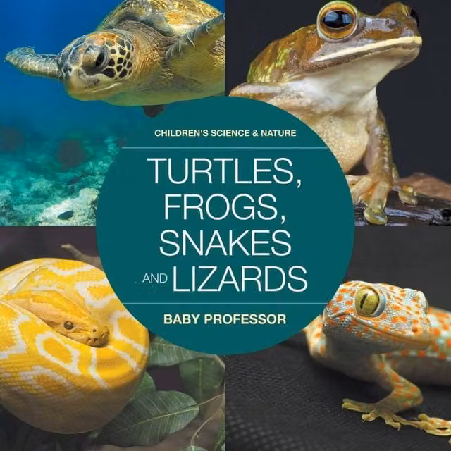 Baby Professor Turtles, Frogs, Snakes and Lizards Childrens Science Nature Multicolour Paper Book