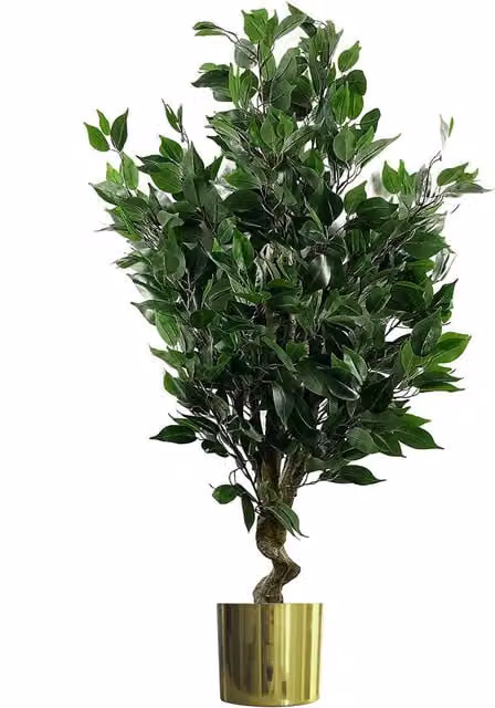 Leaf Realistic Artificial Ficus Tree in Gold and Green, Height: 55 cm