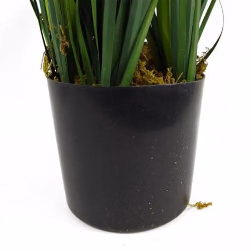 Leaf Design UK Realistic Artificial Lemongrass Grass Plant in Green Pot, Height: 60 cm – 3