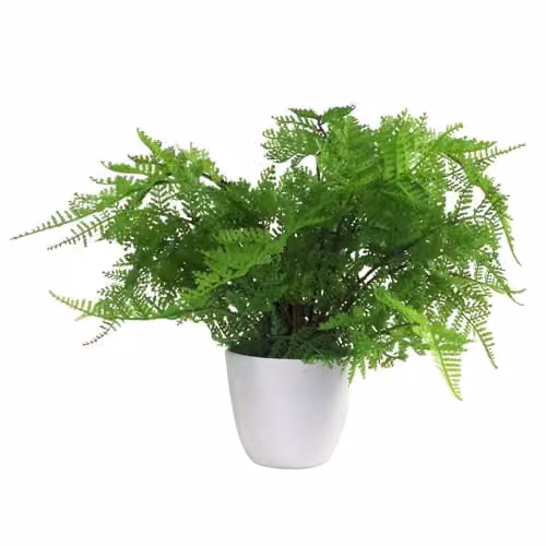 Leaf Artificial Potted Fern Plant in Green, Height: 30 cm, Width: 40 cm, Depth: 40 cm