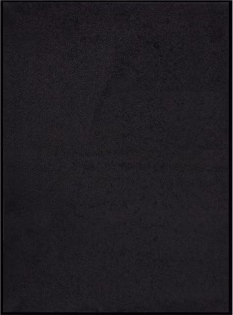 Berkfield Home Black Non-Slip Brushing Doormat, W: 60 cm, D: 80 cm – 1