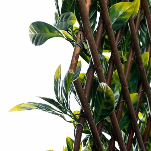 Primrose Green Artificial Laurel Extendable Rectangular Trellis Hedge Screening W: 200 cm, H: 100 cm – 6