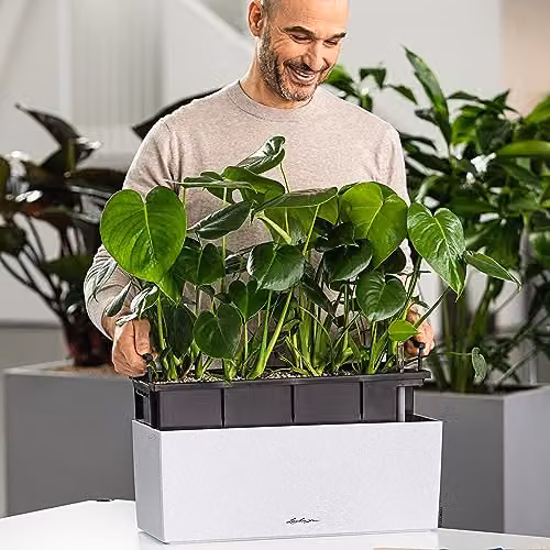Lechuza BALCONERA Stone Self Watering Window Box Planter, White – 5