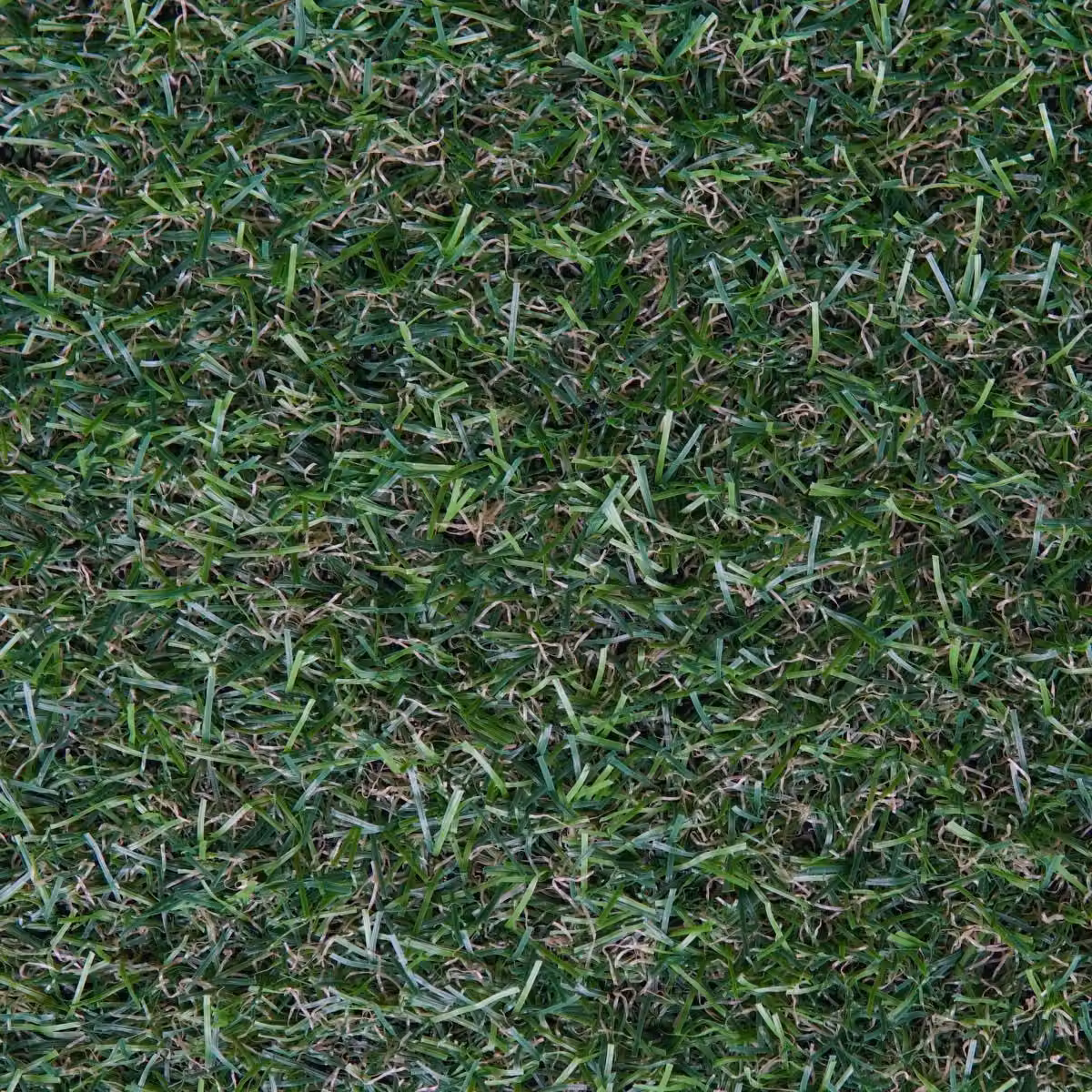 Artificial Grass GB Leeds 18mm Artificial Grass in Green, W: 400 cm, D: 500 cm – 4