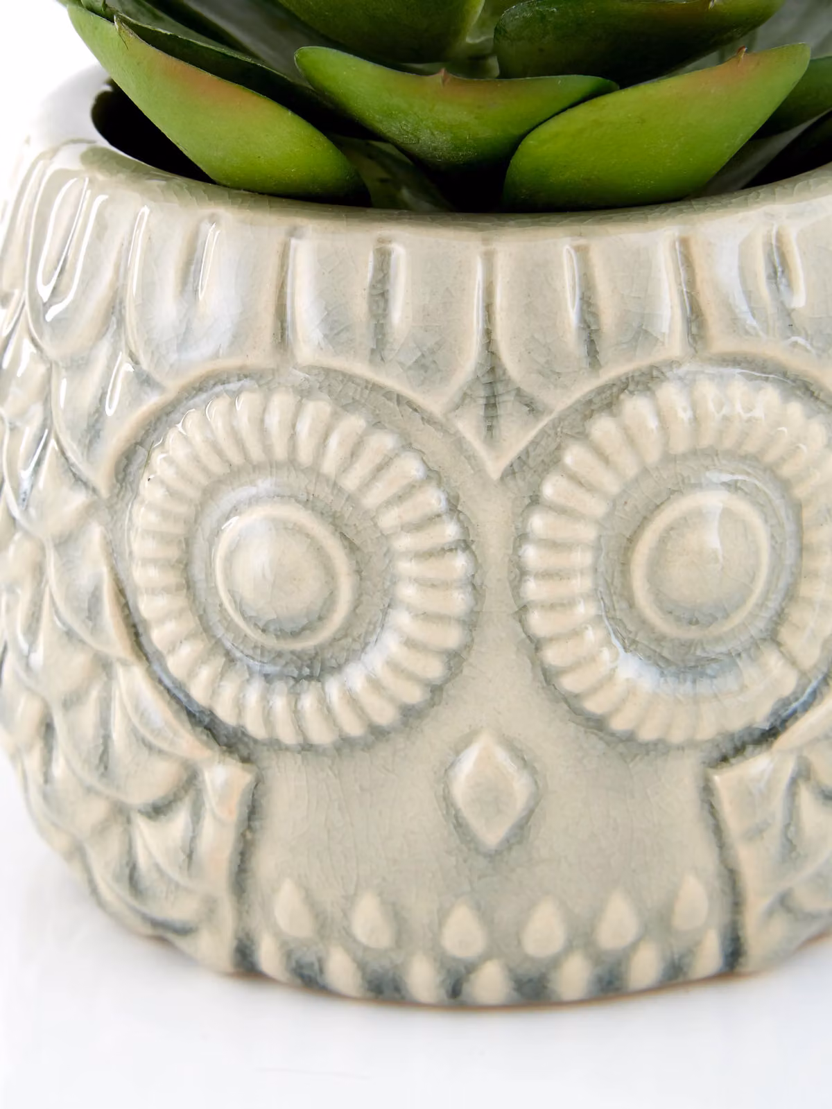Orsina Fiori Large Green Succulent in a Grey Ceramic Owl Pot – 2