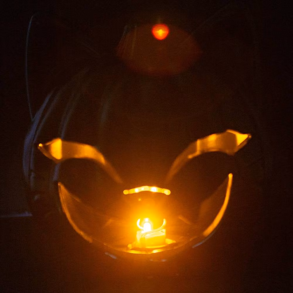 VFM e-Store Halloween Black Cat Light Up Pumpkin Tabletop Party Accessory, Black – 3