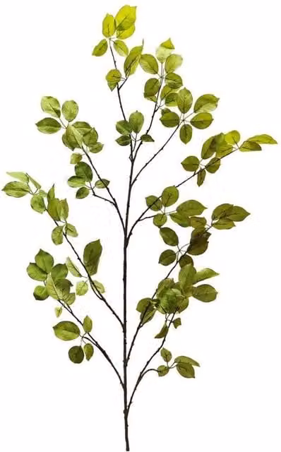 KDMD Botanica Leaf Spray Branch in Green and Multicolour, Height: 170 cm