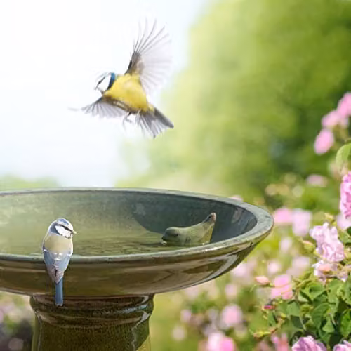 Esschert Design Ceramic Bird Bath on Pedestal in Green, H 45.0 cm x W 42.0 cm x D 42.0 cm – 3