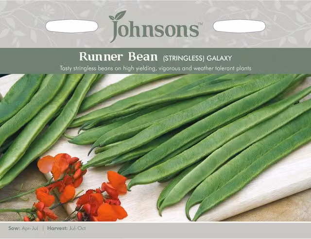Johnsons Galaxy Stringless Phaseolus Coccineus Runner Bean Seeds