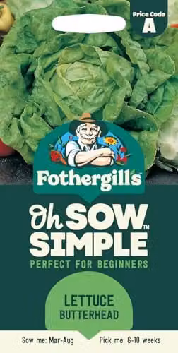 Mr Fothergill's Oh Sow Simple Butterhead Lettuce Vegetable Seeds, Green