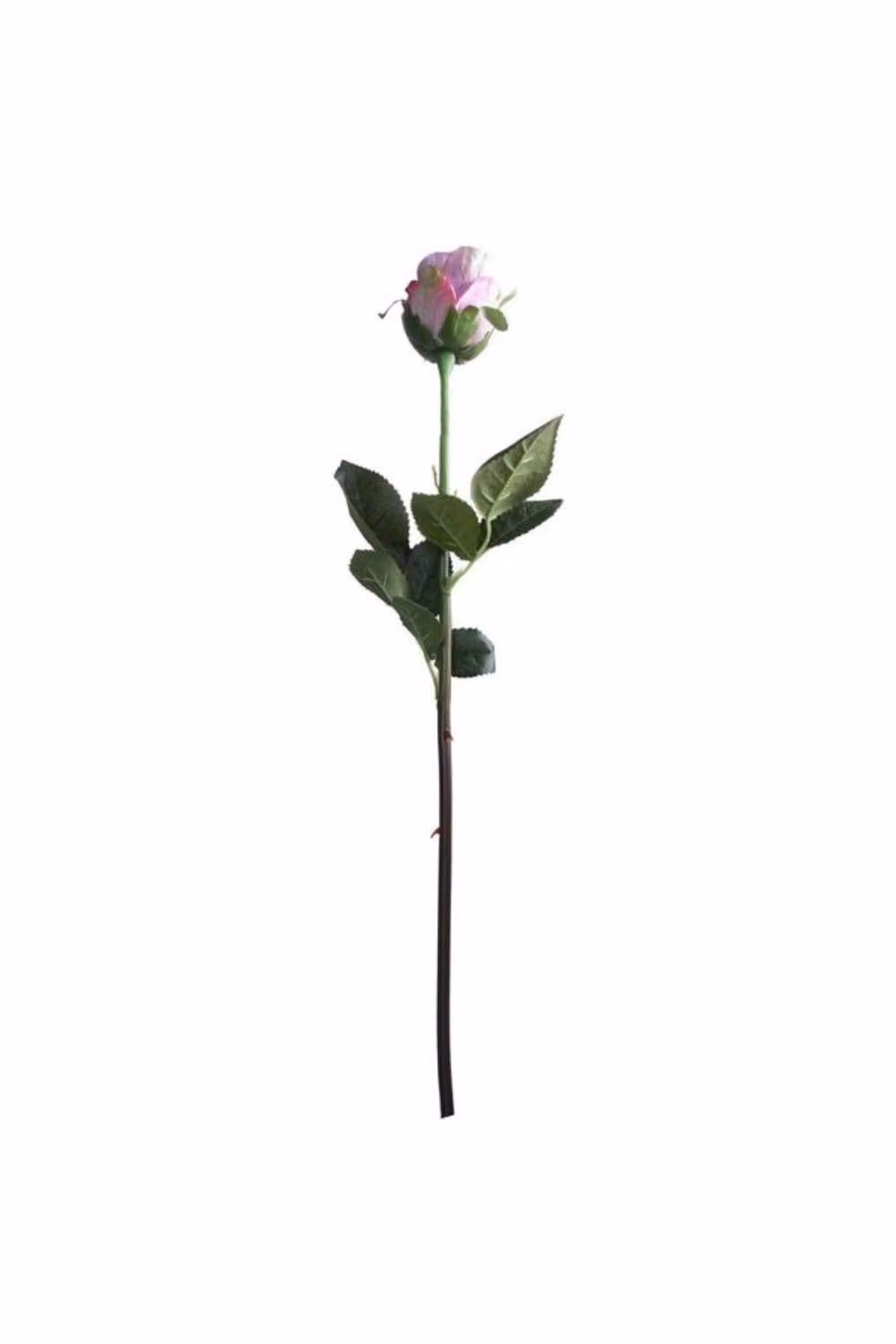 KDMD Small Rose Bud Lavender 3 Pack in Purple and Pink