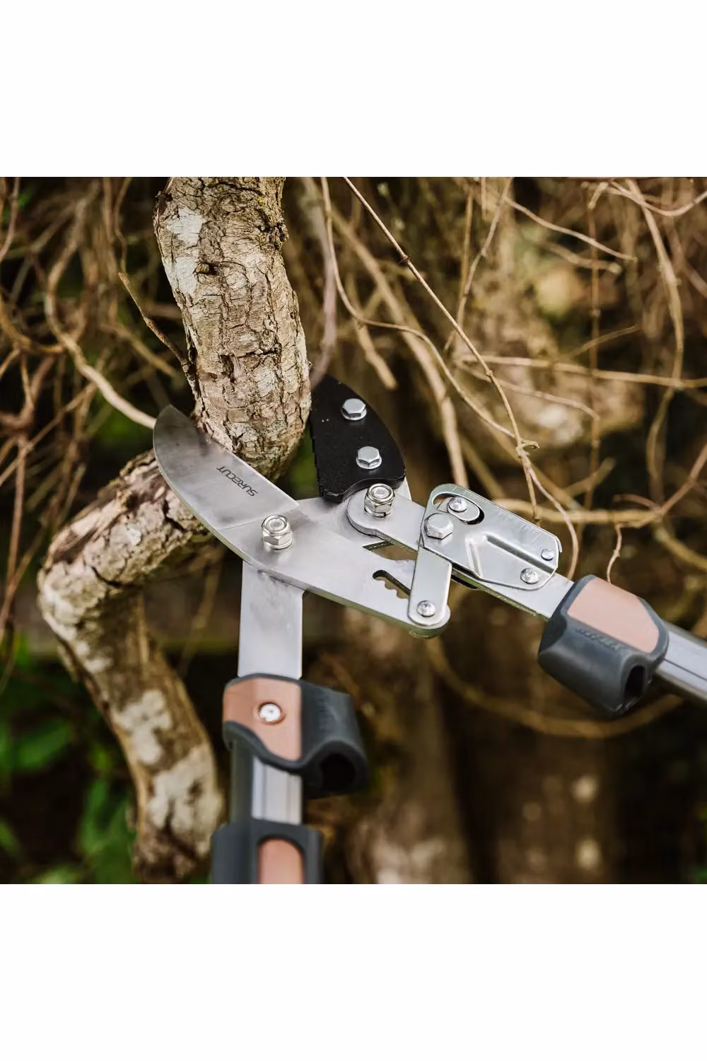 Kent & Stowe SureCut Extra Power Hard Wood Ratchet Anvil Loppers in Black and Multicolour – 2
