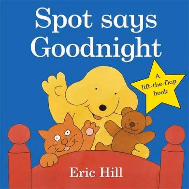 Eric Hill Spot Says Goodnight Multicolour Board Book