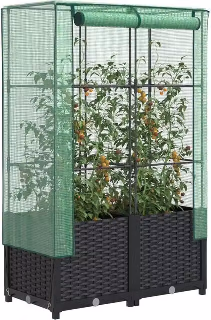 Berkfield Home Raised Bed with Greenhouse Cover in Black Rattan Look, W/D/H: 80 x 40 x 138 cm