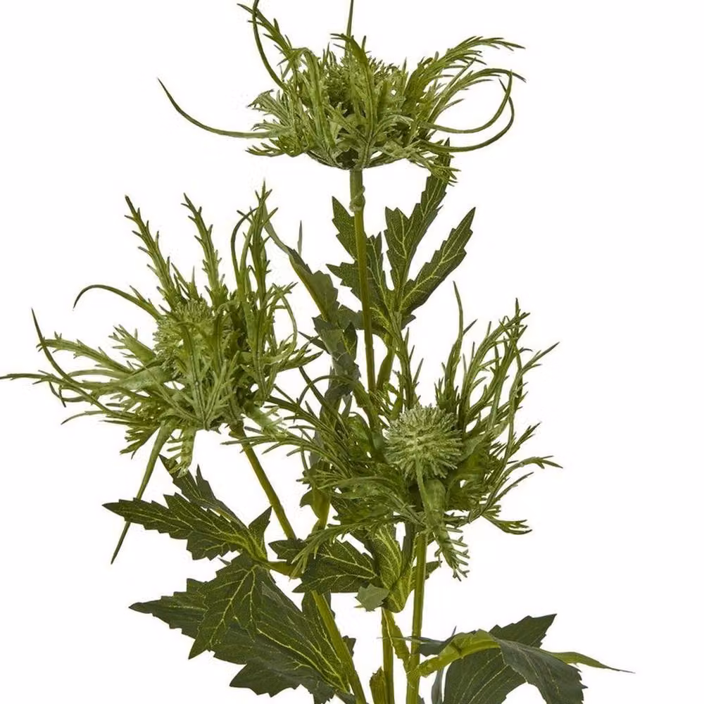 Lemon Pavilion Sea Holly Spray Single Stem Green Plastic, Height: 67 cm – 2