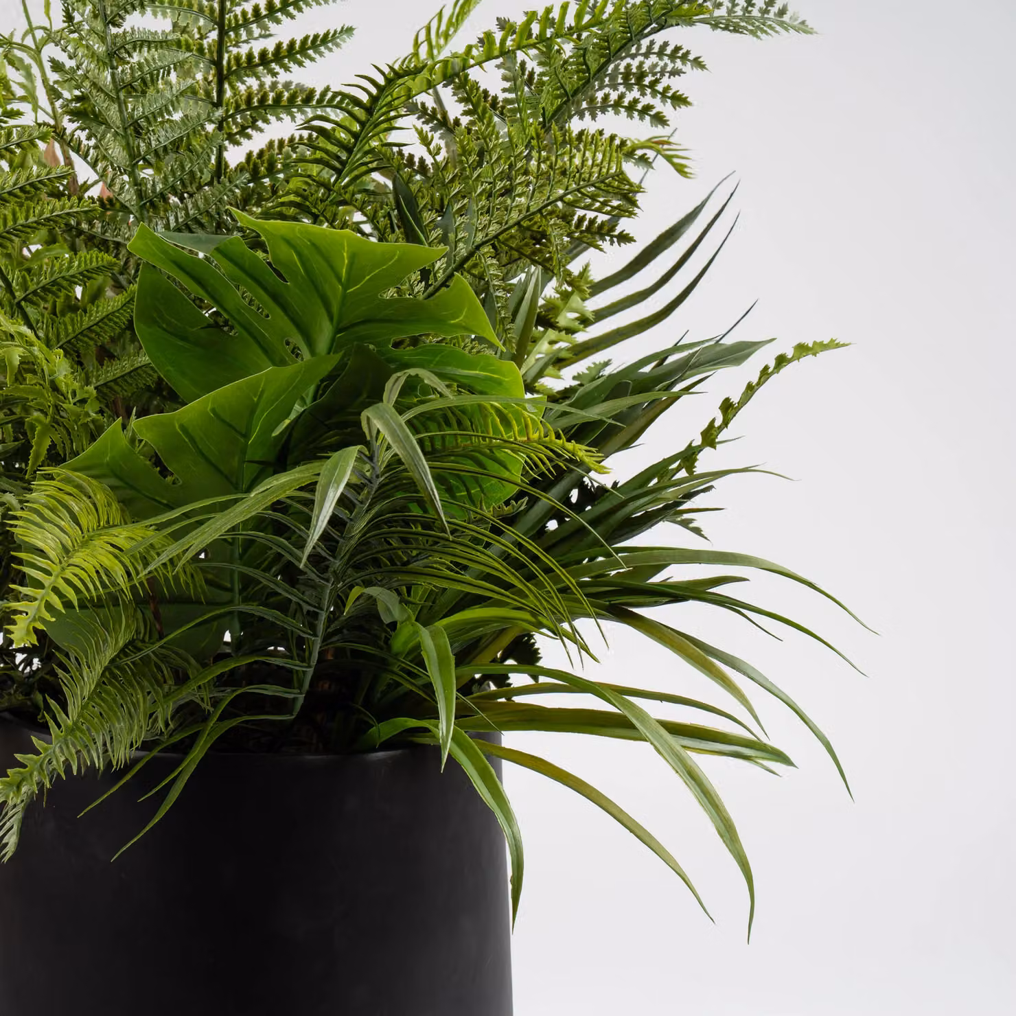 Scottish Everlastings Ltd Mixed Fern Potted Plant in Black Container, Green, Height: 102 cm – 2