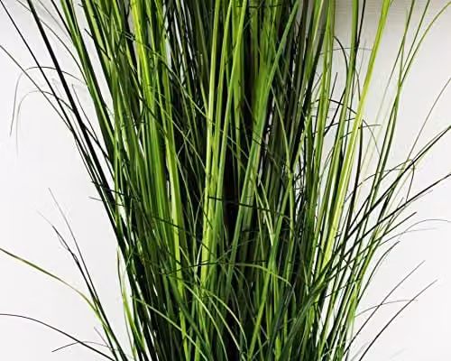 Leaf Design UK Realistic Artificial Grass Plant in Gold and Green Pot, H 50 cm x W 50 cm x D 50 cm – 2
