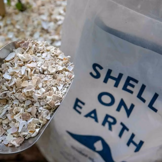 Shell on Earth White Crushed Whelk Shell Gravel, 18.0 kg