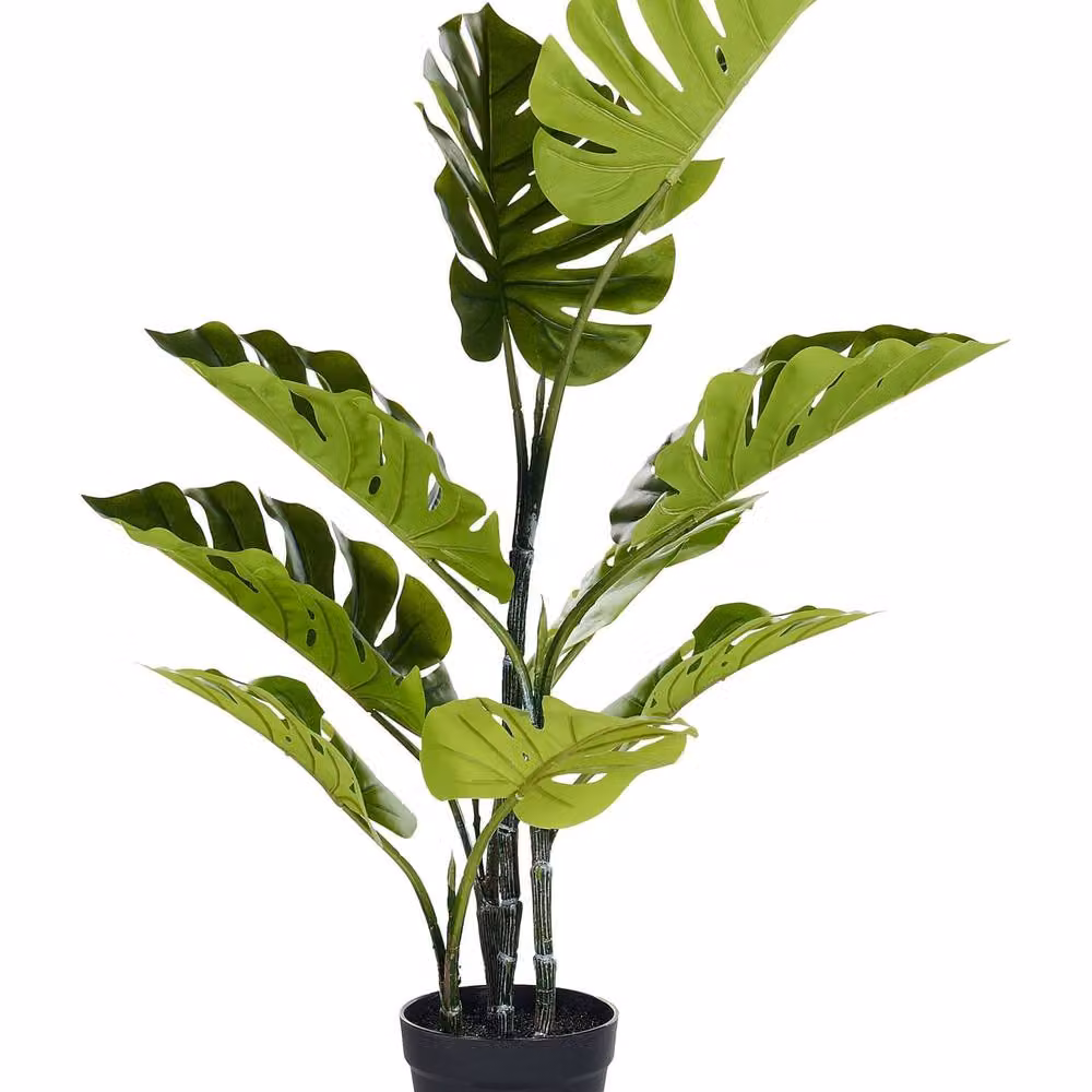 Wyld and Coco Evergreen Living Monstera Artificial Potted Plant, Green with Concrete Pot, Height: 94 cm – 2