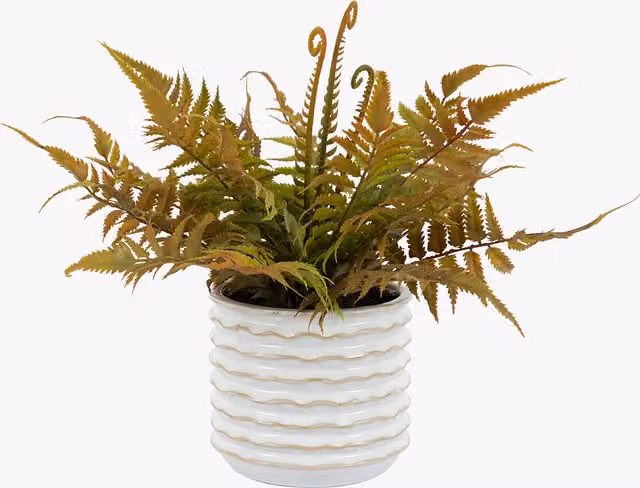Perch & Parrow Faux Faded Fern in a White Ceramic Pot