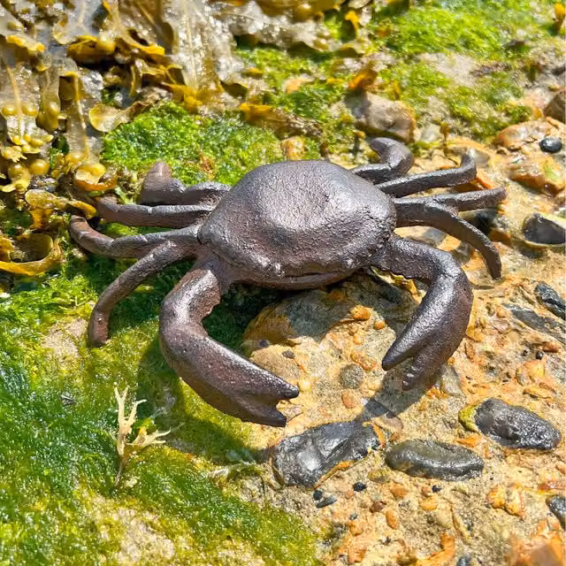 Ascalon Vintage Brown Cast Iron Crab Garden Ornament