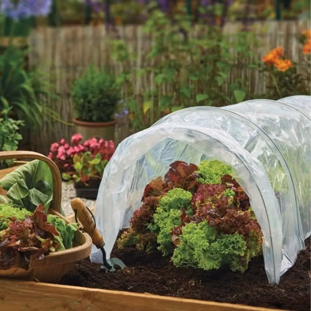 Primrose Clear Polythene Grow Tunnel