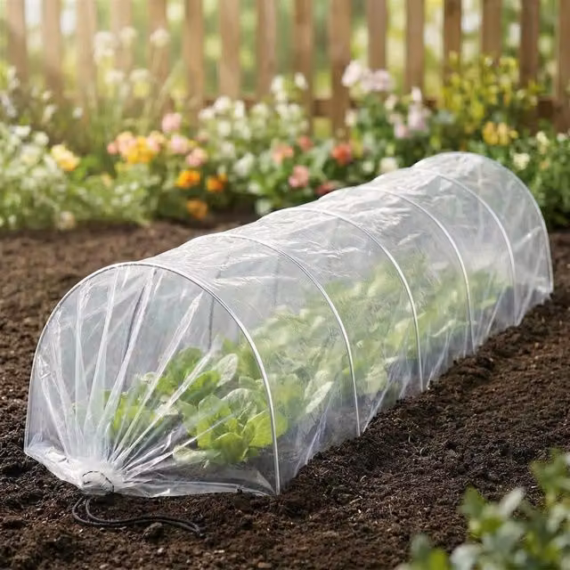 GEEZY Transparent Polytunnel Plant Protector Greenhouse Cloche for Herb, Vegetable and Ornamental Gardens