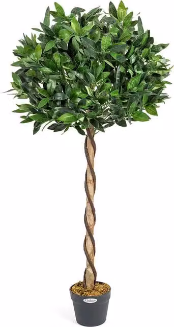 Christow Artificial Bay Tree in Pot, Green, Height: 120 cm