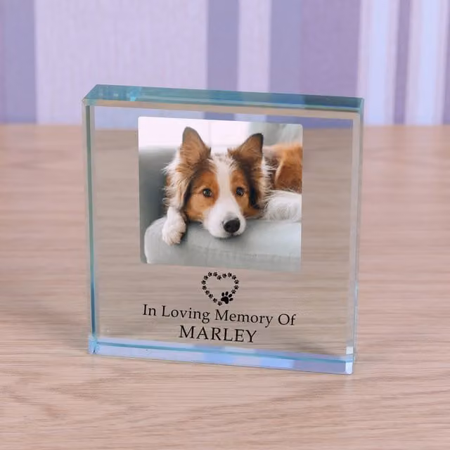Uniqueful Personalised Pet In Loving Memory Glass Token Sympathy Gift in Transparent and Beige