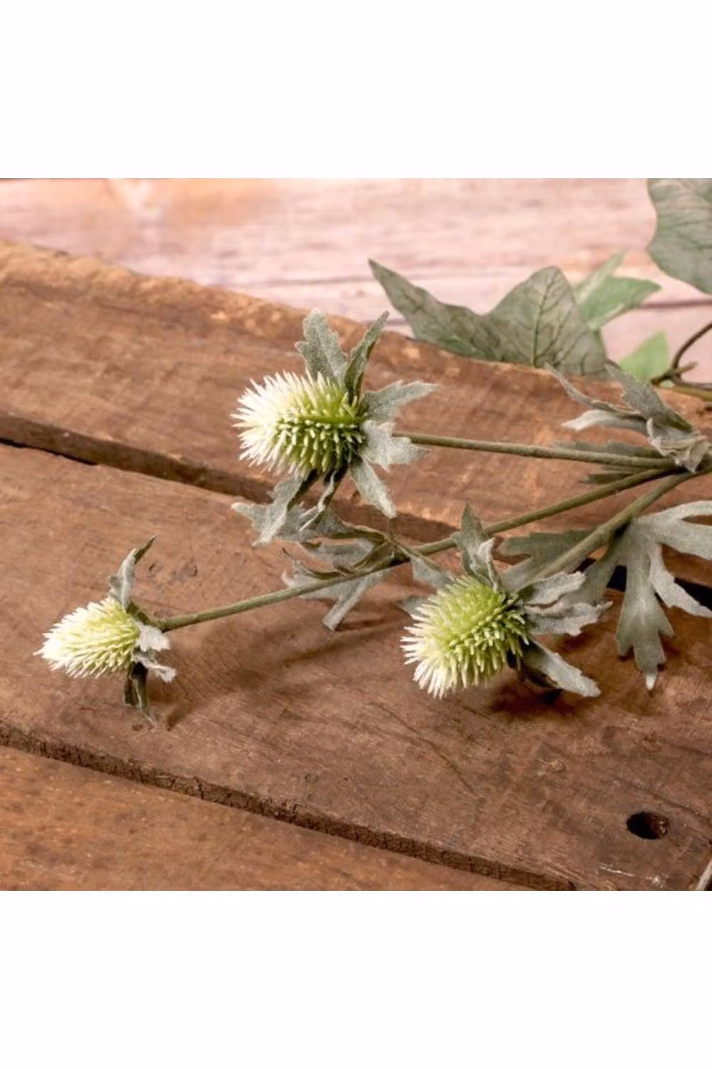 KDMD Thistle Spray Green, 2 Pack, Height: 44 cm – 2