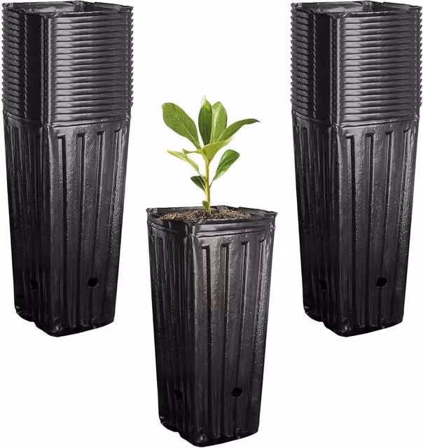 Havendro 50 Pack Black Plastic Nursery Tree Pots and Seedling Planters, Depth: 24 cm