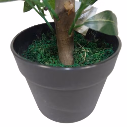 Leaf Design UK Pair of Artificial Green Bay Laurel Topiary Ball Trees, Height: 50 cm – 2
