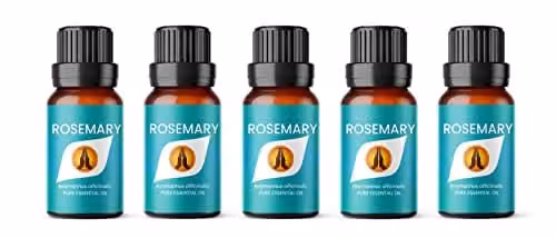 Aroma Energy Rosemary Pure Essential Oil, 50ml (5 x 10ml Bottles)